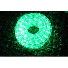 Lumière de corde LED 2 fils vert